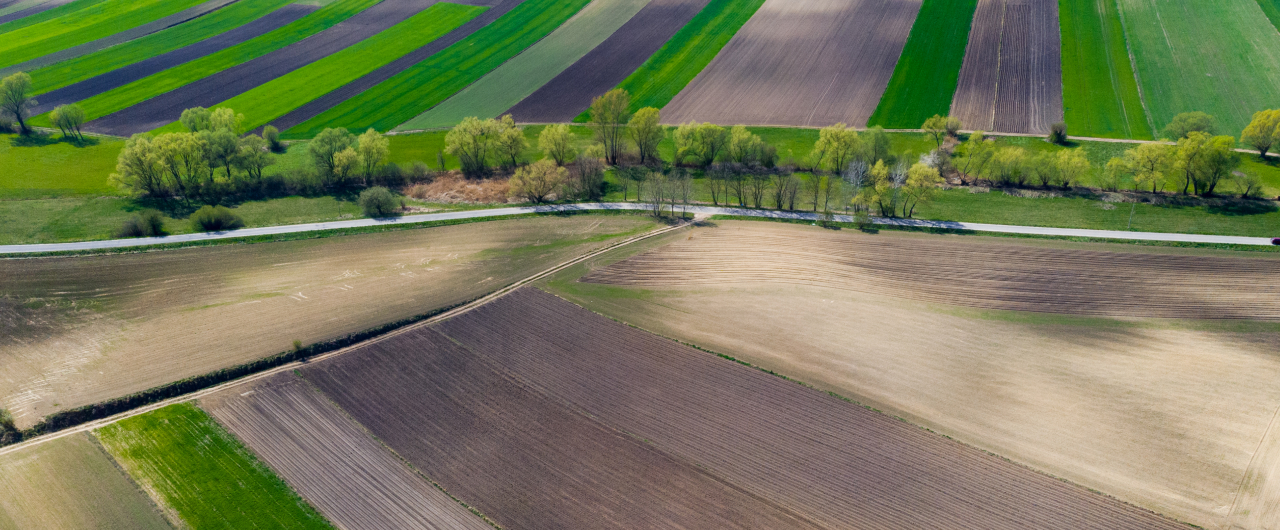 Які земельні сервіси доступні на Гіді з державних послуг?
