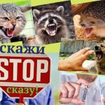 ІНФОРМАЦІЙНА ПАМ’ЯТКА ПРО СКАЗ