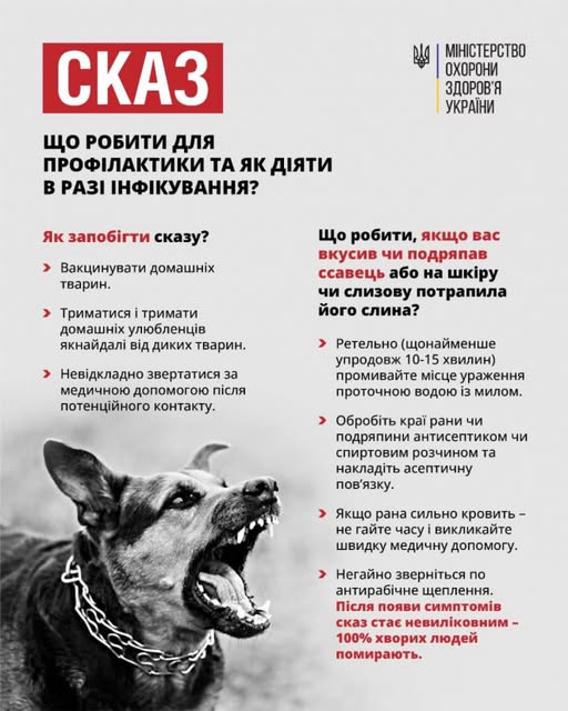 Сказ: що робити людині для профілактики захворювання та як діяти в разі інфікування вірусом