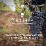 Гранти для виноробів Одещини