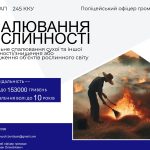 Відповідальність за спалювання опалого листя, сухої трави та інших рослинних залишків